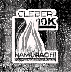 10K Namúrachi 2026 (14a Edición)